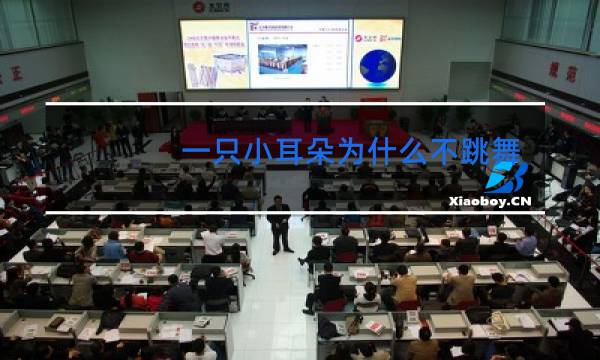 一只小耳朵为什么不跳舞了