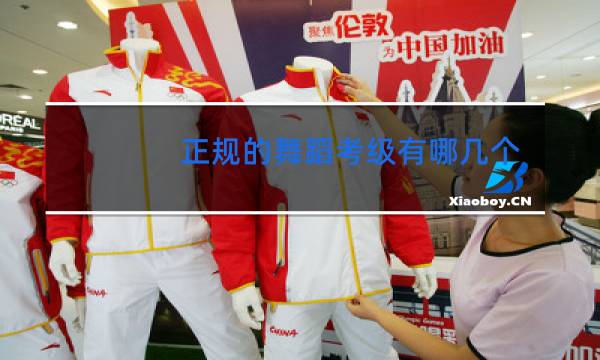 正规的舞蹈考级有哪几个图片