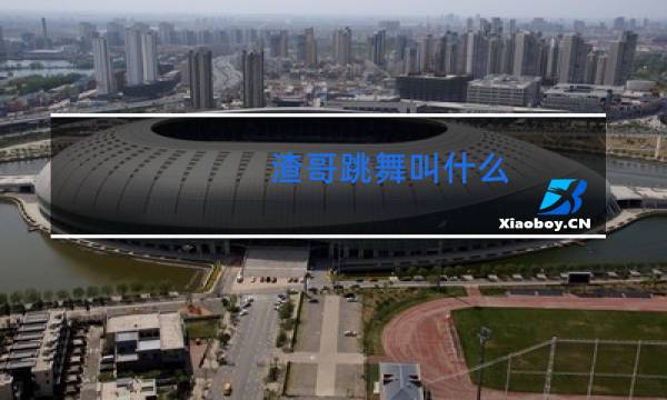 渣哥跳舞叫什么