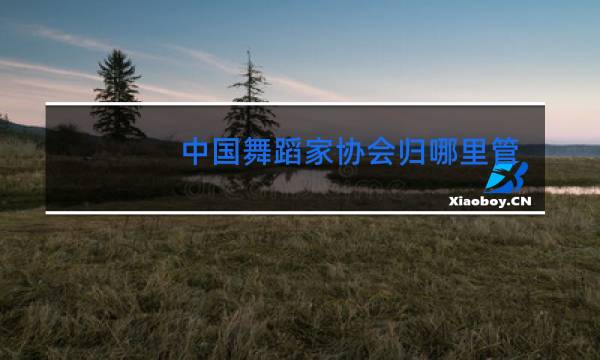 中国舞蹈家协会归哪里管