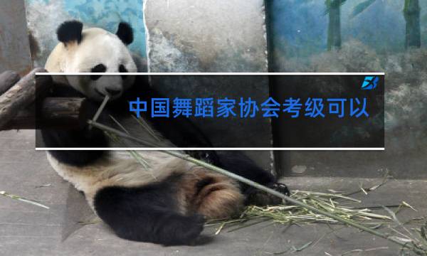 中国舞蹈家协会考级可以跳级考吗