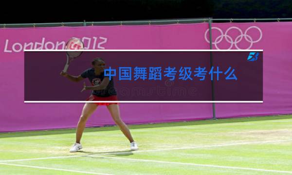 中国舞蹈考级考什么图片