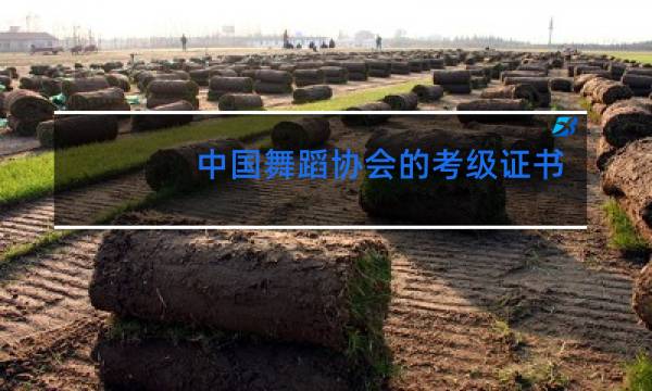 中国舞蹈协会的考级证书有用吗