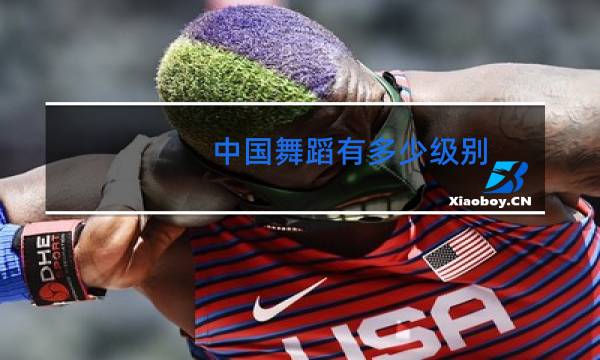 中国舞蹈有多少级别图片