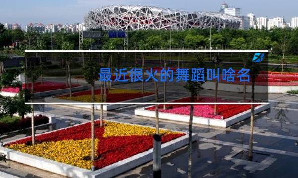 最近很火的舞蹈叫啥名