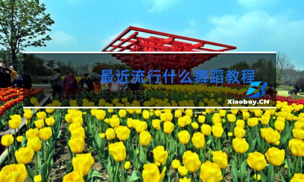 最近流行什么舞蹈教程