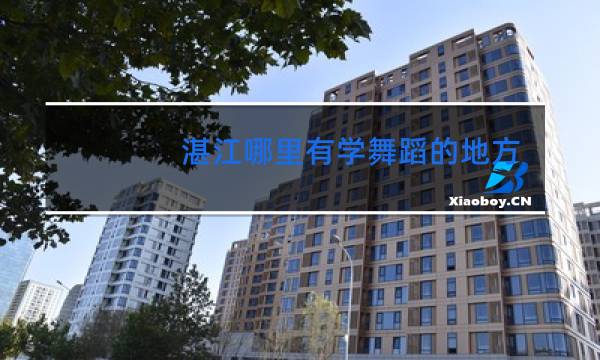 湛江哪里有学舞蹈的地方