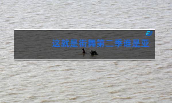 这就是街舞第二季谁是冠军