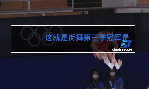 这就是街舞第三季冠军是谁的队