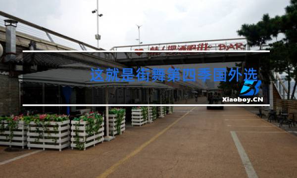 这就是街舞第四季国外选手有哪些