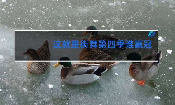 这就是街舞第四季谁赢冠军