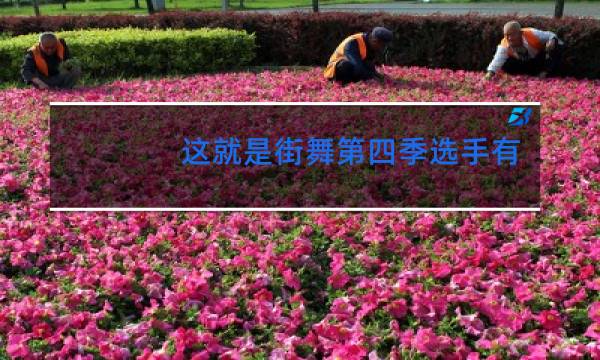 这就是街舞第四季选手有钱拿吗