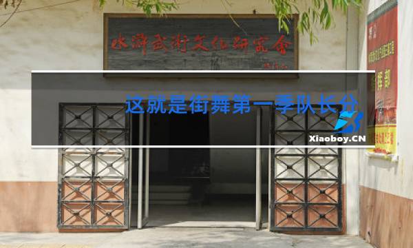 这就是街舞第一季队长分别是谁