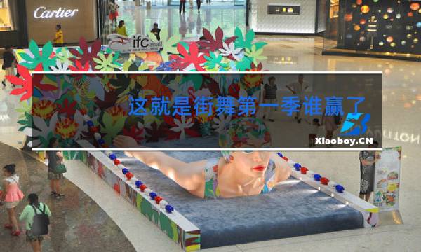 这就是街舞第一季谁赢了