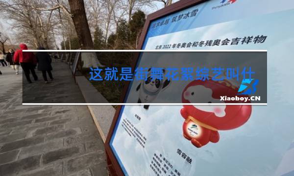 这就是街舞花絮综艺叫什么
