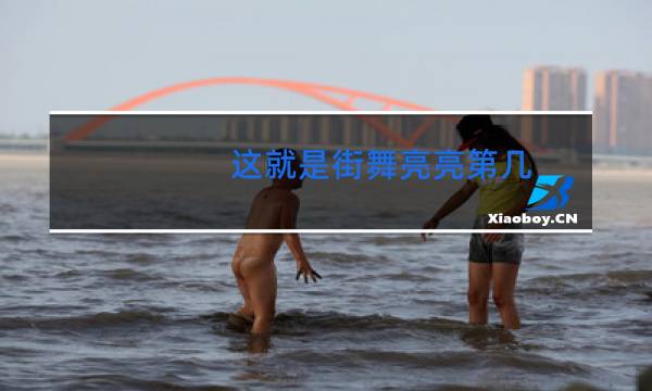 这就是街舞亮亮第几