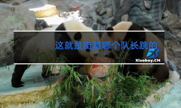 这就是街舞哪个队长跳的好
