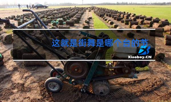 这就是街舞是哪个台的节目