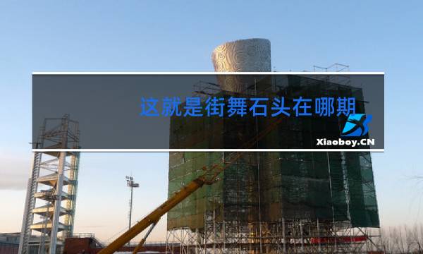 这就是街舞石头在哪期