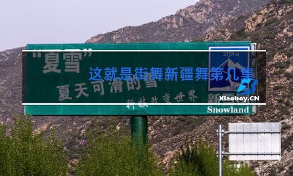 这就是街舞新疆舞第几集