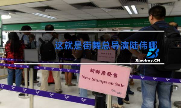 这就是街舞总导演陆伟哪里人