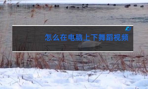 怎么在电脑上下舞蹈视频