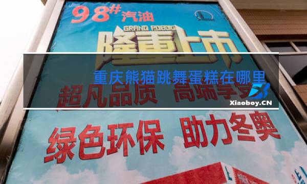 重庆熊猫跳舞蛋糕在哪里订