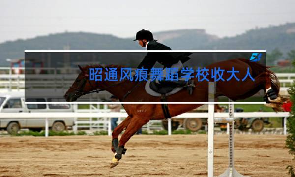 昭通风痕舞蹈学校收大人吗图片