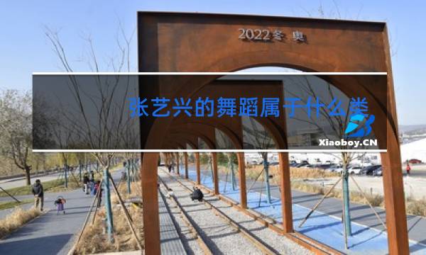 张艺兴的舞蹈属于什么类型