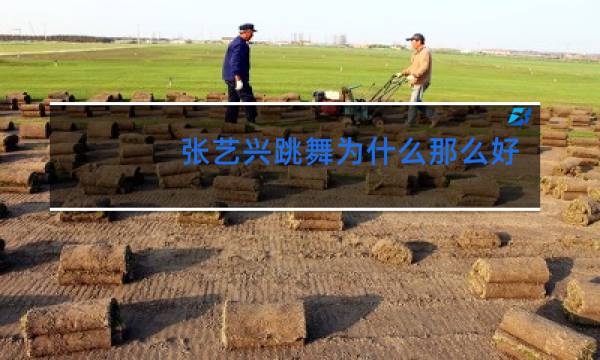 张艺兴跳舞为什么那么好看图片