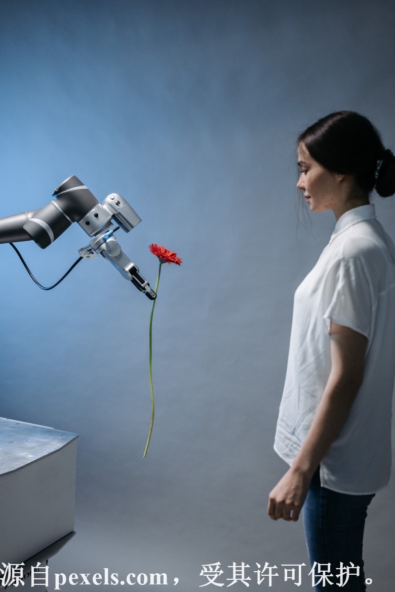 更换linux主机的数据库