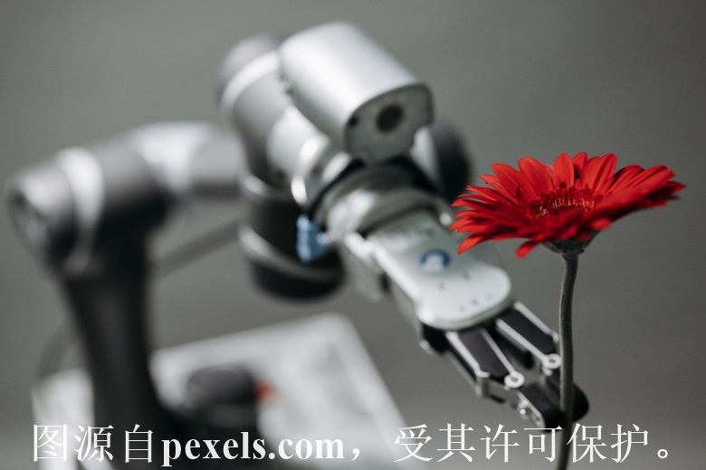 请将域名泛解析至目前服务器