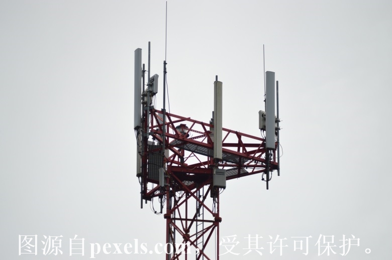 www.pf369.cn中国移动的客户打不开