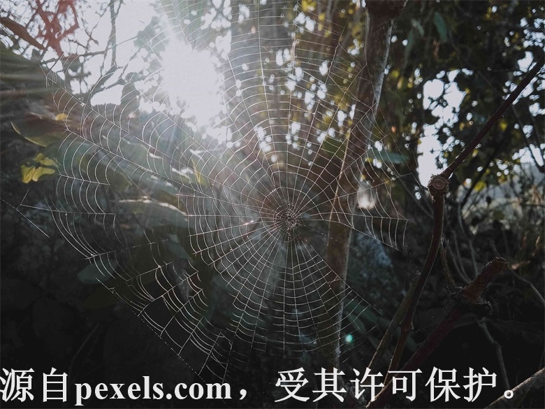 1203错误帮我重启一下服务器就可以了