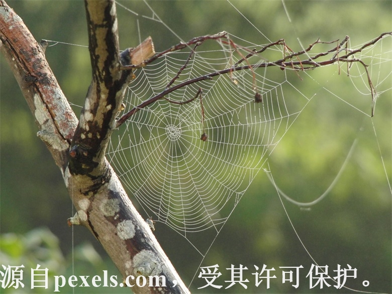 mail.ntyaochen.com 邮箱打不开