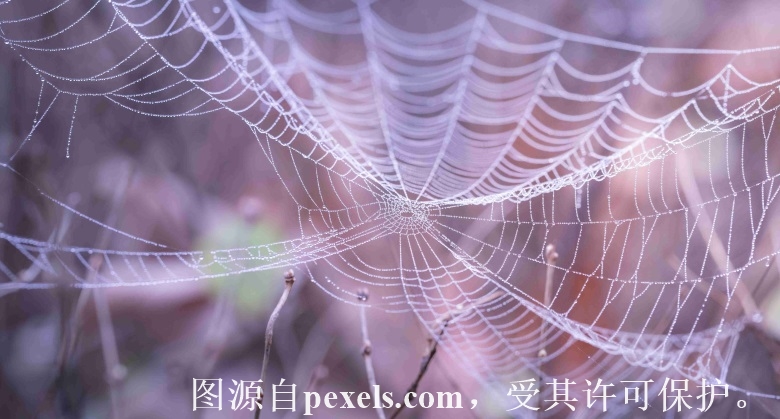 备案怎么还没有过