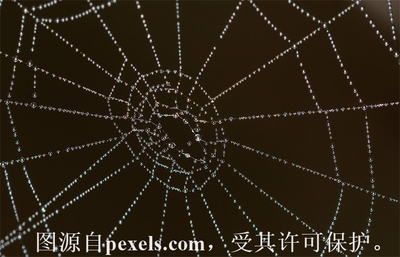 域名在西部数码买备案还提示转入？？？