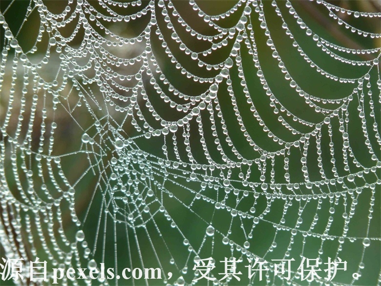 szpms-tech.com 这个邮箱劳驾帮忙处理下