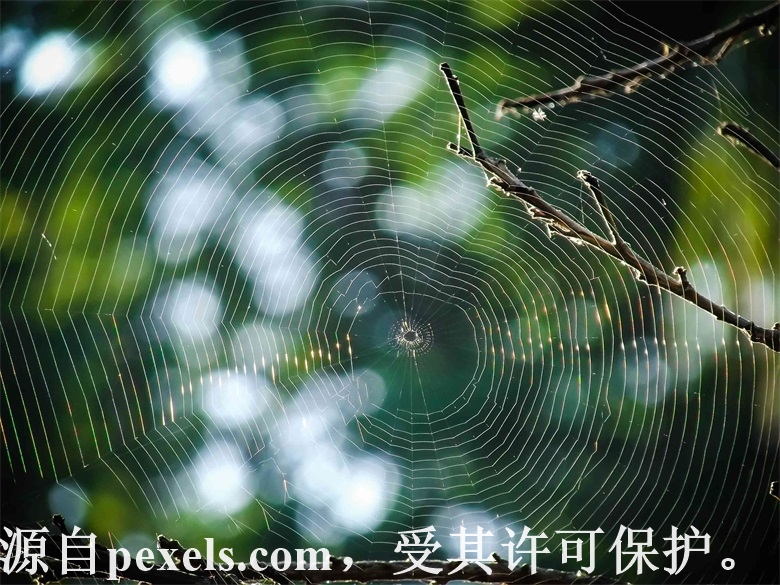 网站主体修改了公司名称  这边新的营业执照已经上传