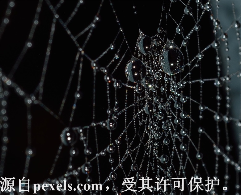 取消接入是什么意思？-其他问题