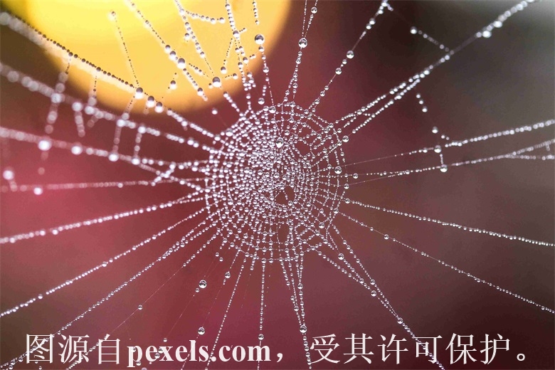 有的域名实名认证后面什么都不显示怎么处理？