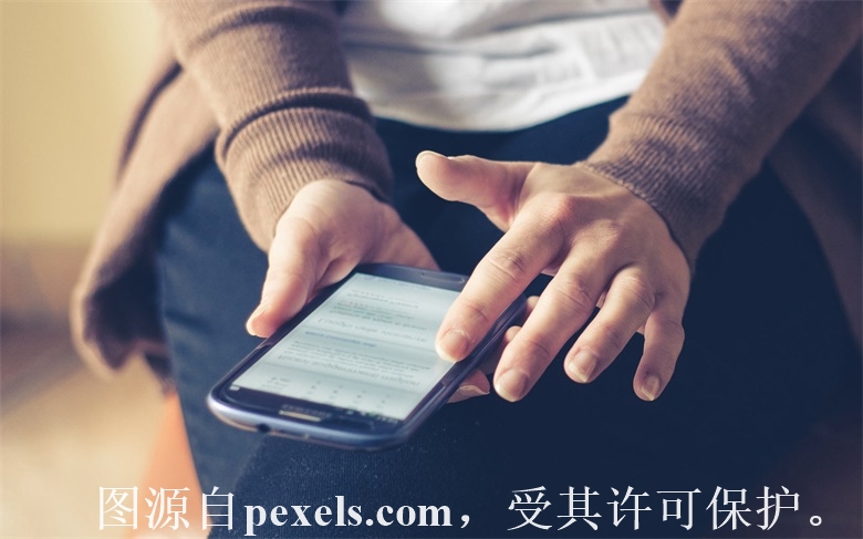 备案核验编号：审核申请-备案平台