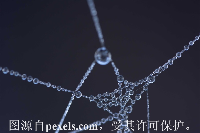 网站发布报http403.14错误