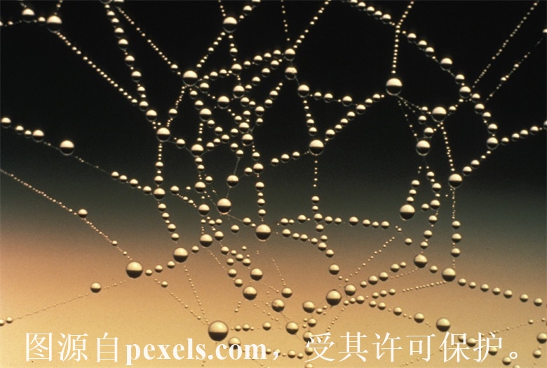 encnjinbaichang.mycn86.cn  为什么