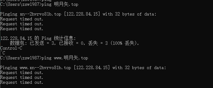 中文域名解析完了一直解析不到服务器ip