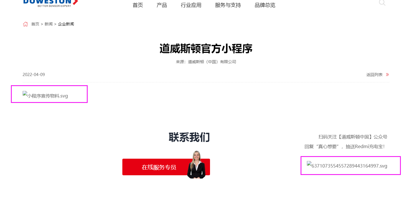 .svg的图片不能显示呢