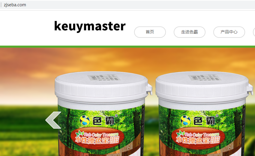 你们301重定向功能在哪里