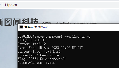 网站通过站长工具无法查看友链