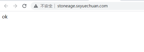 伪静态问题和访问域名非常慢