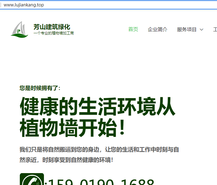 临时网址打不开,帮忙看一下